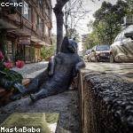 Clair Walsh Profile Picture