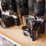 Chadrick Shanahan Profile Picture